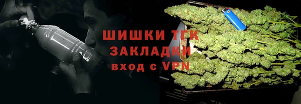 соль курить ск Белокуриха