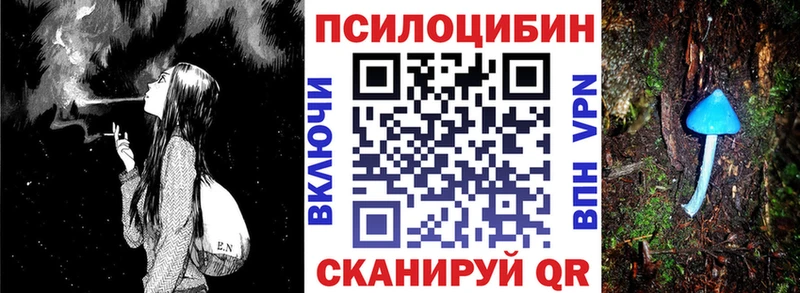купить  сайты  Белгород  Галлюциногенные грибы прущие грибы 